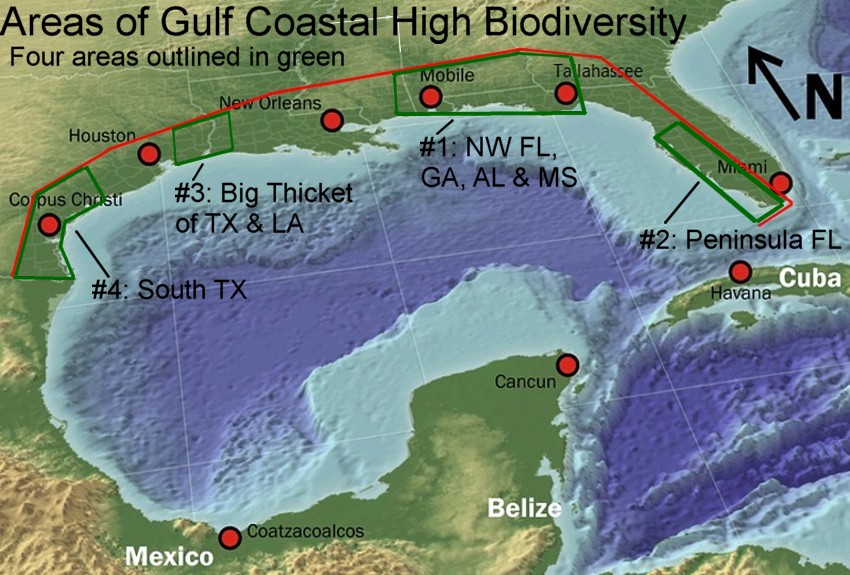 GulfMexbiodiv3.jpg