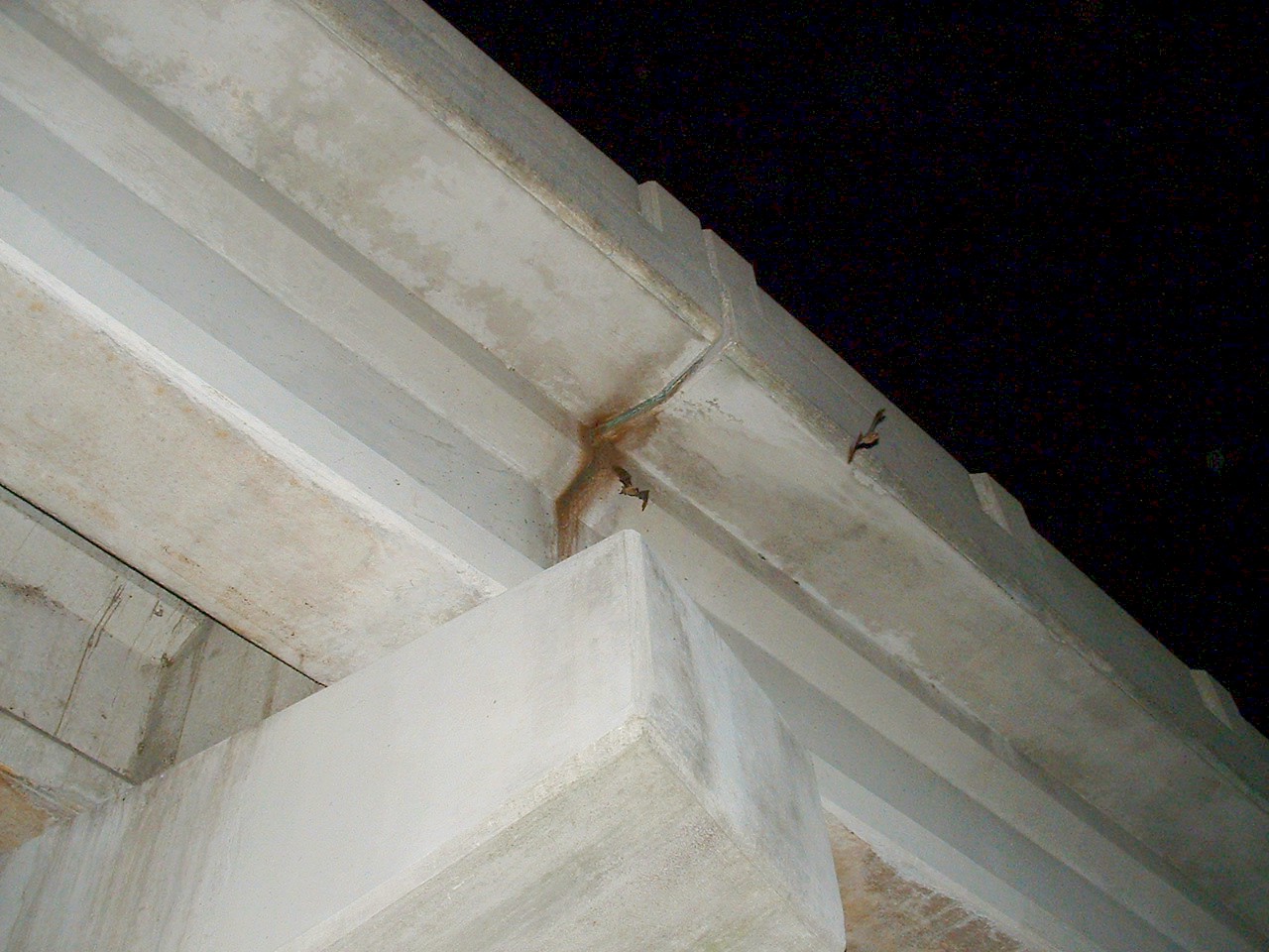 karlkatebat.jpg